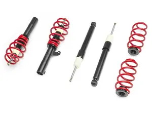 Raceland Classic Coilovers for Volkswagen Golf GTI MK5 (2006-2009) LIFETIME WARRANTY