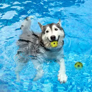 Pet Dog Chew Toy PU Wicker Ball, Washable High Elasticity Durable Bite-Resistant Interactive Toy, Perfect for Dogs' Playtime