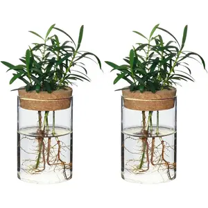Separated Desktop Glass Flower Vases Ideal Plants Propagation Stations for Living Room Bedroom Decoration Home Decor 2 Pack High Borosilicate Glass Nordic Style Design