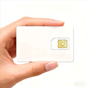 sim card for gps tracker 30 mb per month plans from 6 months to 12 months Triple Cut 3-in-1)