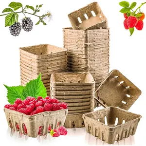60PCS Natural Berry Fiber Baskets, Small Farmers Market Produce Containers, Ventilated Molded Pulp Berry Baskets For Strawberries, Blueberries, Raspberries, Eggs & Vegetables, Vegetable Storage Basket
