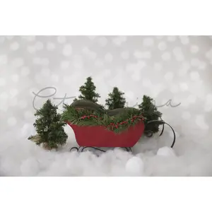 Santa Sleigh Newborn Digital Backdrop