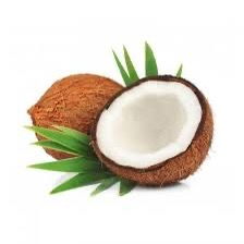 Coconut Trade Inc