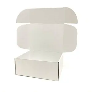 Blank Display Mailer Boxes (12 Pack)