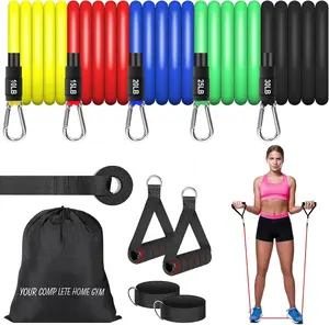 Resistance Band Training Kit (With Handles)