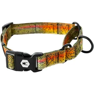 Wolfgang Heavy Duty Martingale Dog Collar with Quick Release Nylon Buckle for Walking & Training, Cutbow Print, Large