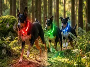 LED Dog Collar, Light up Dog Collar Adjustable USB Rechargeable Super Bright Saf