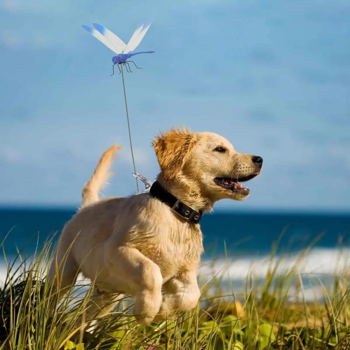 12 Counts Outdoor Fake Dragonfly Rod Clip, Garden MetalDragonfly Clip.Natural Organic Concept, 3D Dragonfly GardenDecoration, Garden Bird and Fly Interfere Devices for Indoorand Outdoor Garden,Creative Home Accessories DecorativeDesign