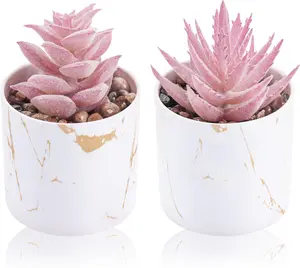 Der Rose 2-Piece Artificial Mini Succulents Set, Plastic Faux Flowers for Home Office Desk Decor, Home Decoration Ornaments for Women’s Room Decor