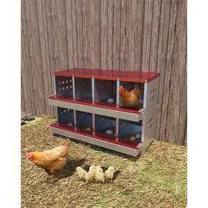 Train Hens Instantly! 8-Hole Galvanized Metal Nesting Box with Fake Training Eggs, Roll-Away Tray & Ventilation, Easy Collection & Install