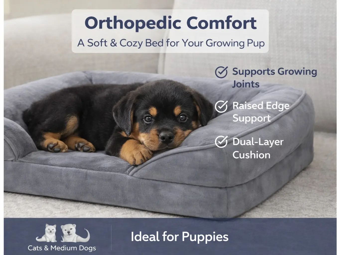 Orthopedic Dog Bed for Medium Dogs Washable Comfort Pet Bed with Non-Slip Base Supports Growing Joints Raised Edge Support Dual Layer Cushion Ideal for Puppies