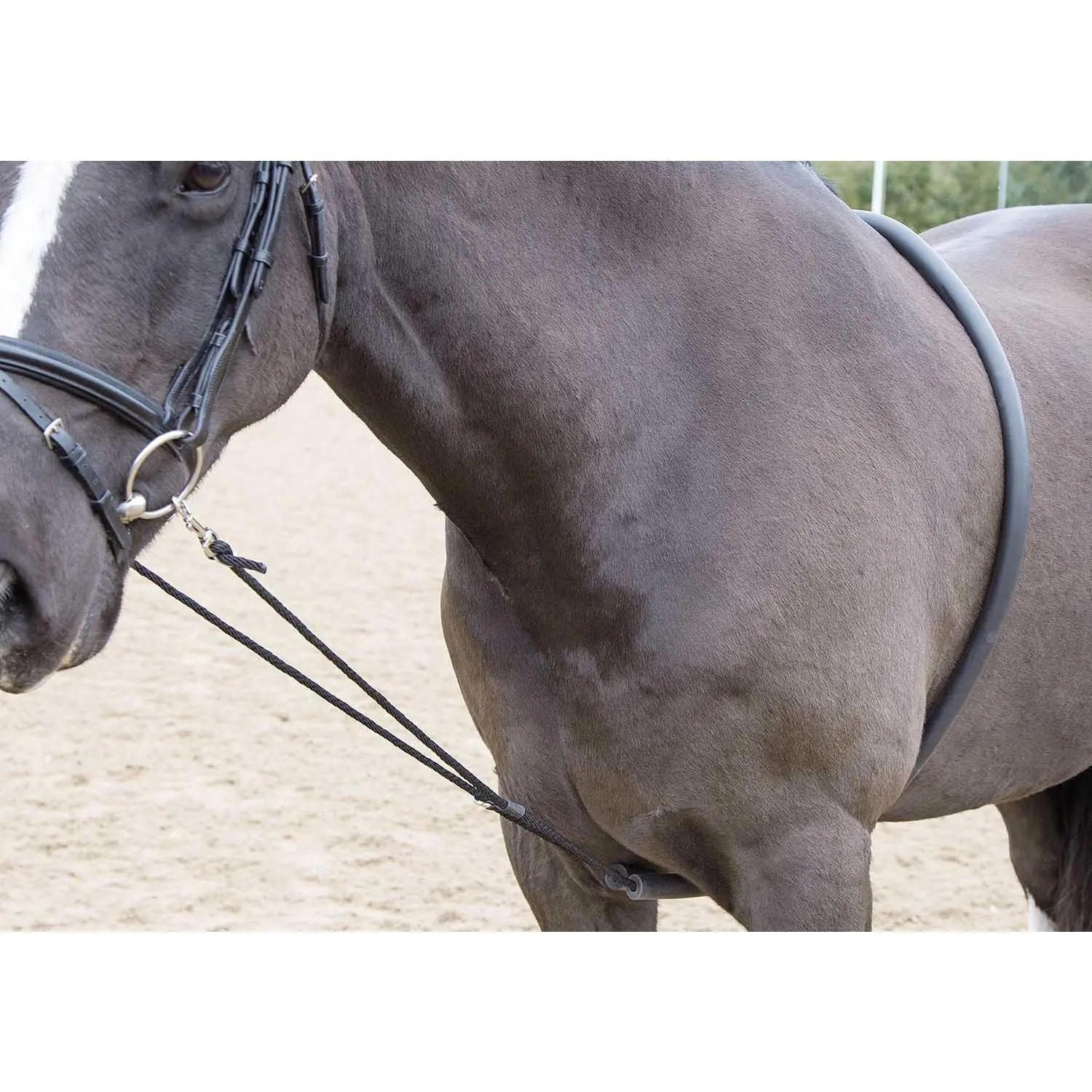 Shires Soft Lunge Aid