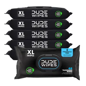 Wipes Unscented XL Flushable Wipes, 6 Flip-Top Packs Case, 48 Wipes per Pack, 288 Total Wipes