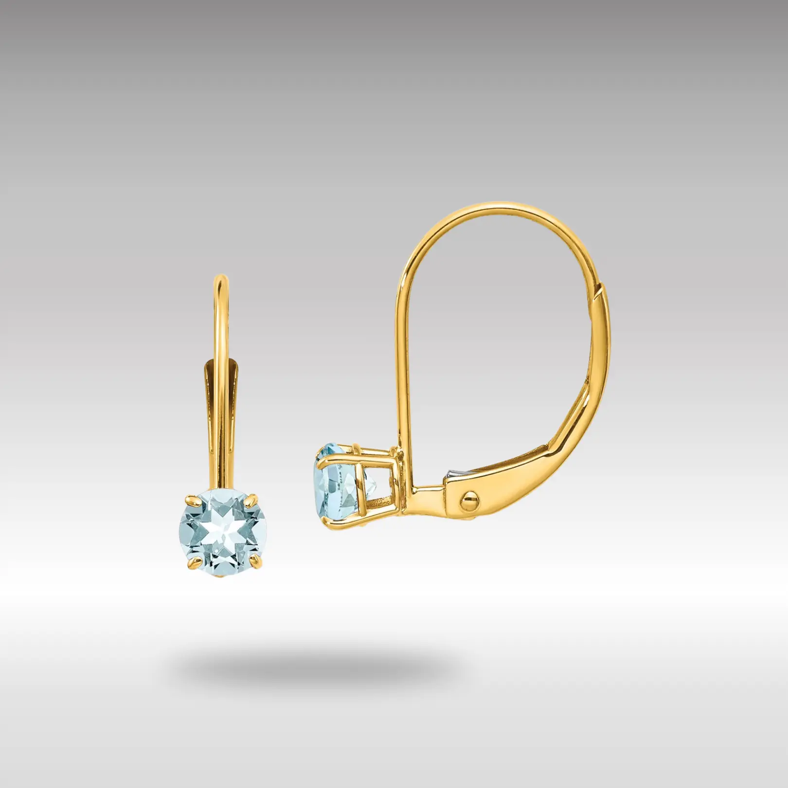 14K Gold Aquamarine Leverback Earrings - March Model-XBE75