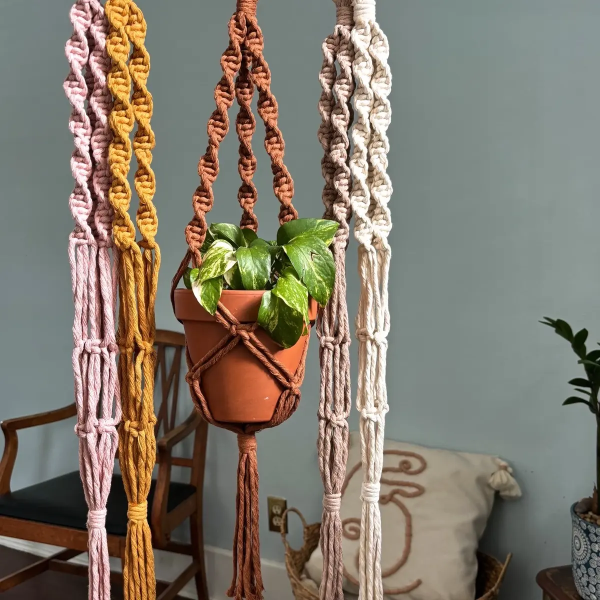 Boho Macrame Plant Hanger | Indoor Planters