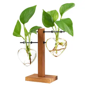 Heart Shaped Plant Propagation Station in Gift Box - Romantic Wooden Desk Planter Gift