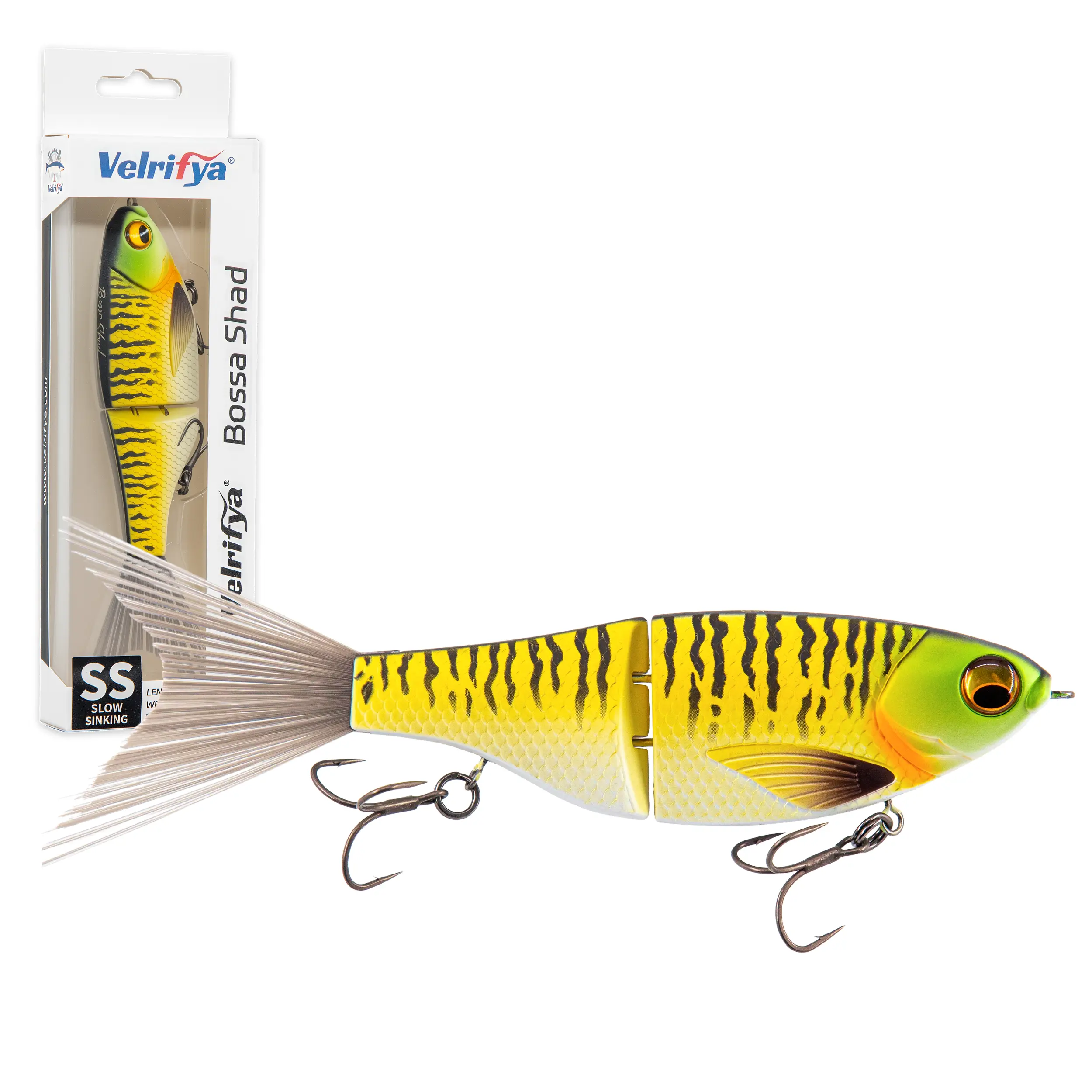 04-Tiger Perch Shad