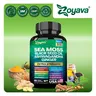 Zoyava Sea Moss Supplement - All-in-One Multivitamin with Black Seed Oil, Ashwagandha & 15+ Extra Strength Ingredients - 60 Capsules - MADE IN USA