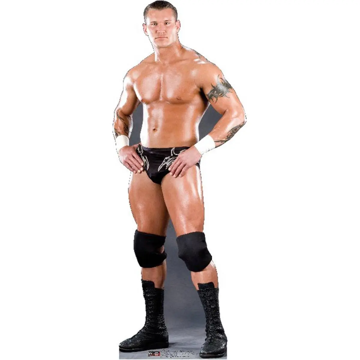 Randy Orton Life-Size Foldable Mountable Cardboard Stand-Up, Home Decor Piece for Wall, Room & Party Use