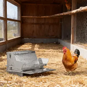 Large Capacity Treadle Poultry Feeder, Feed Chicken Feeder with Lid & Lock, Outdoor Coop Food Dispenser, Weatherproof Galvanized Metal Feeder for Ducks Geese