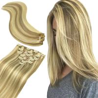 #16/22 Light Blonde Highlighted Golden Blon