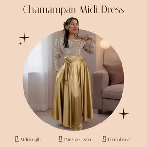 MIDI Champan Elegant Dress Long Sleeve Casual Womenswear Satin