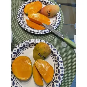 CECILOVE MANGO Tree