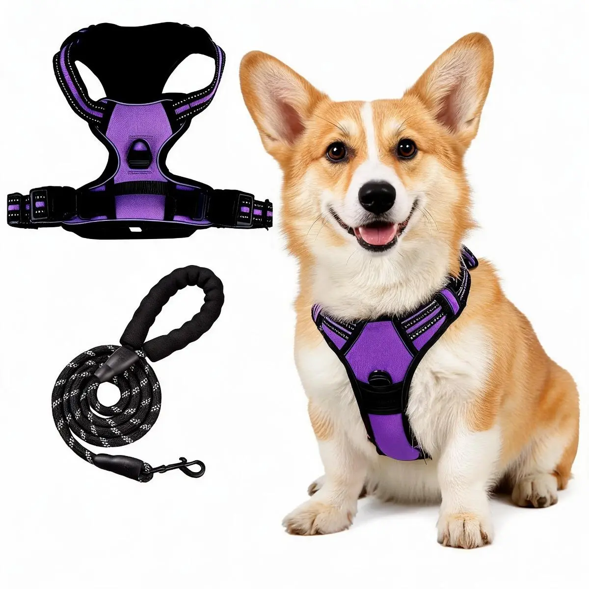 No-Pull Dog Vest Harness & Leash Set, Adjustable S-XL Sizes, Dual Front & Back D-Ring Clips, 360° 3M Reflective, Padded Chest, Oxford Fabric, Night Safety