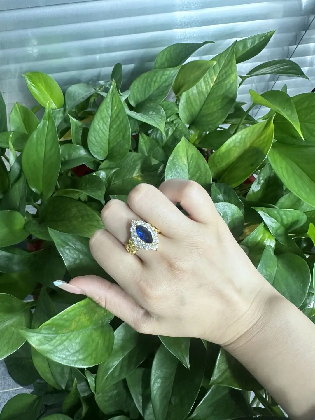 Rose(14725)gc.Blue zirconia