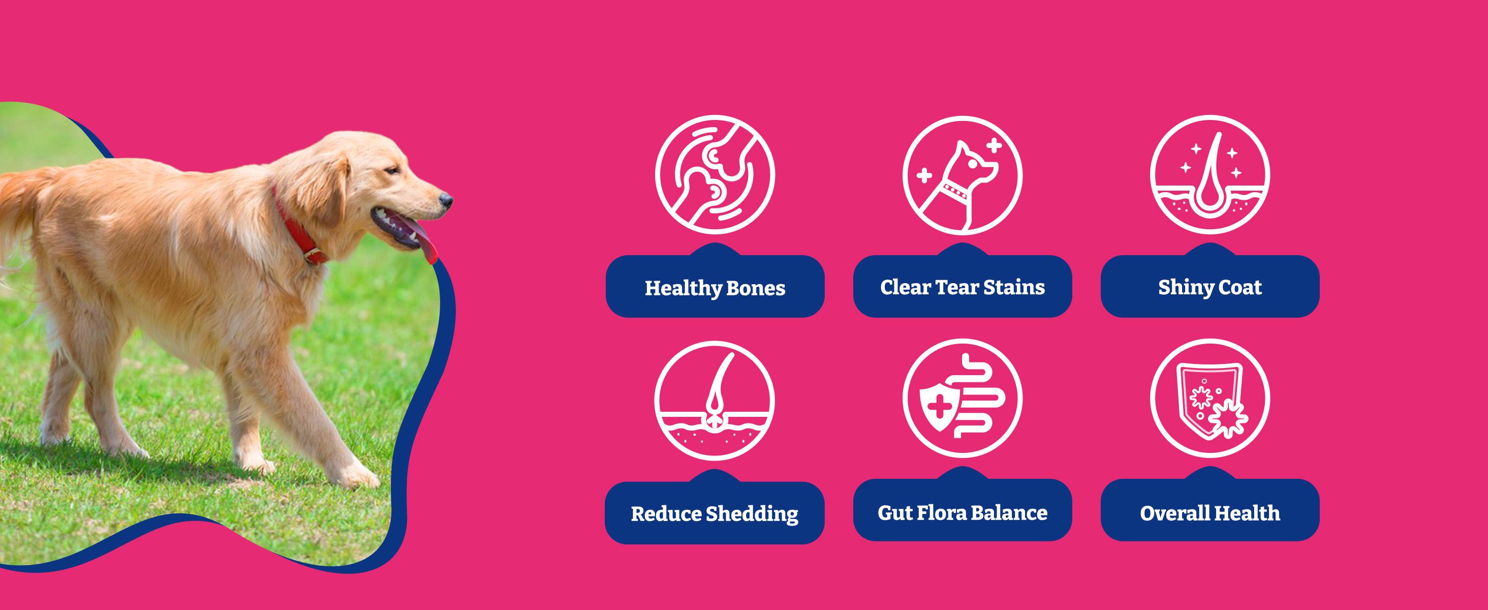 Fish Oil Chews for Dogs & Cats, YoYoBay Omega 3 Fish Oil for Dogs - Rich in Omega 3, 6, and 9 with Flaxseed Oil, EPA & DHA - 180 Soft Chews, Duck & Pear Flavor - Anti-Inflammation, Healthy Skin & Shiny Coat, Heart Health