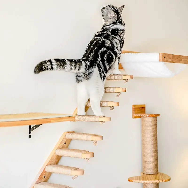 1pc Cat Climbing Shelf Wall Mounted Four Step Stairway #backtoschool With Sisal Scratching Post For Cats Tree Tower Platform Jumping Pet Furniture Home Wood