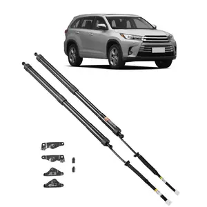 VEVOR Rear Left Right Tailgate Power Lift Support, Compatible with 2014-2019 TOYOTA Highlander, Electric Tailgate Liftgate Power Hatch Shock Strut Replace OE# 6891009130 6891009120 (2PCS)
