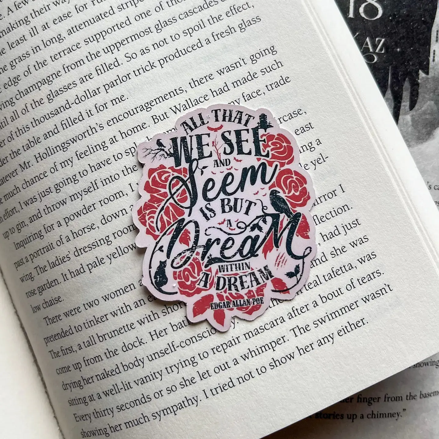 Gothic Edgar Allan Poe Vinyl Stickers, 2.5" Tall Water-Resistant DIY Scrapbooking & Stamping Accessory, Bookish Decor for Book Lovers, Kindle Decal