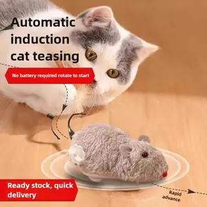Electric Moving Mouse Cat Toy for Self Play with Teaser Wand Function