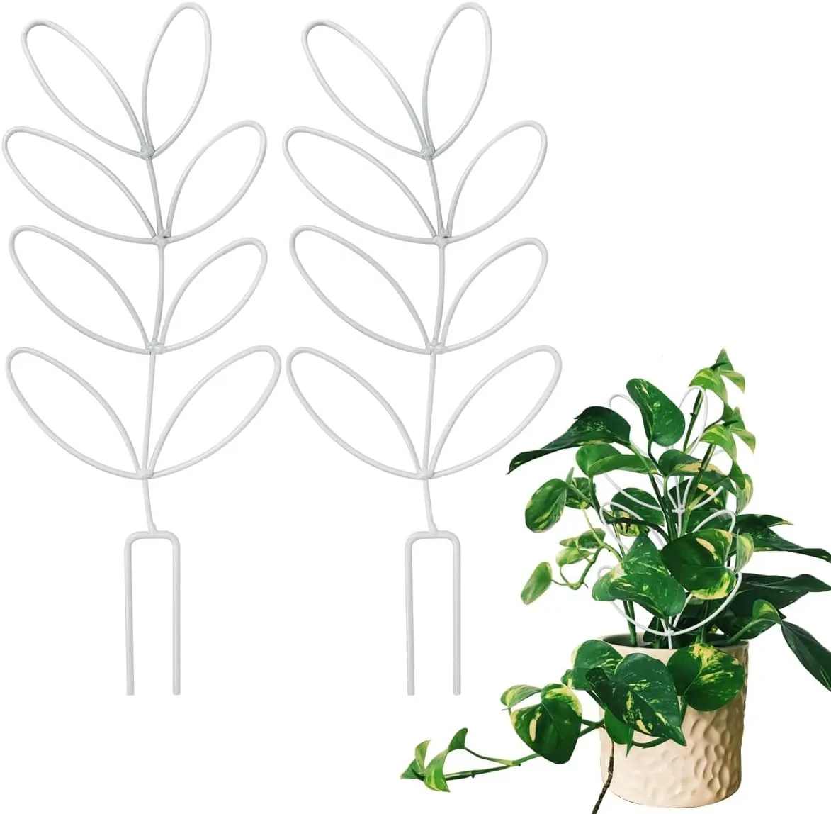 2Pack Indoor  Trellis Metal Wire Garden Trellis Small Climbing Leaf Shape Trellis for Garden Potted  Houseplant (Whiter)