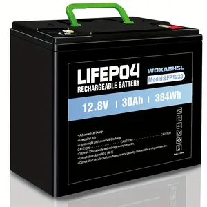 New 12 Volt 30ah Battery Lithium Lifepo4 Deep Cycle Battery Charge Controllers and Accessories