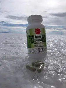 Iron Blast, a blend of seaweeds (Spirulina, Nori, Wakame, Sea Lettuce, & Wheatgrass).  Healthcare Supplement