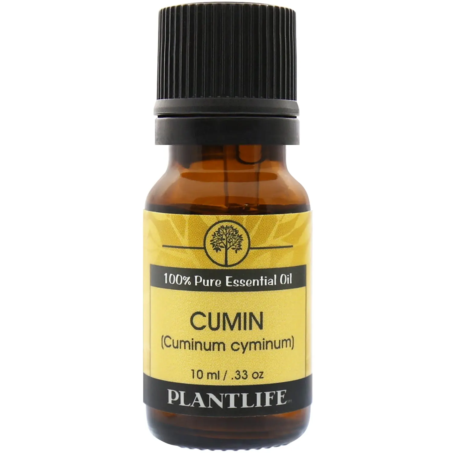 Plantlife Cumin Essential Oil 10 ml – Warm Spicy Aromatherapy Oil with Earthy Notes