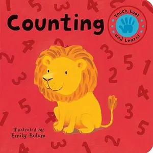 USED-Counting (Touch, Look, and Learn!) by Emily Bolam (Unknown)