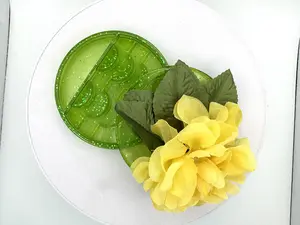 Jackie Winn || Floral and Glitter Green Eyelash Organizer for fake eyelashes storage