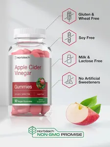 Vegan Apple Cider Vinegar Gummies | 90 Count | ACV Supplement | Apple Flavor | Non-GMO, Gluten Free Gummies