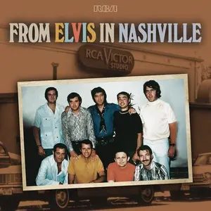 PRESLEY,ELVIS - FROM ELVIS IN NASHVILLE Vinyl LP