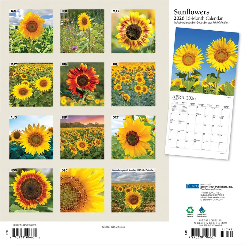Sunflowers | 2026 12 x 24 Inch (Hanging) Monthly Square Wall Calendar | Foil Stamped Cover | Plato | Flower Floral Plant Outdoor Nature 1