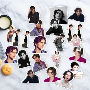 Stickers Pack 20 Pcs Timothee Vinyl Bottle Water chalamet Bike Guitar Skateboard Luggage Laptop Colorful Car Aesthetic Waterproof Bumper