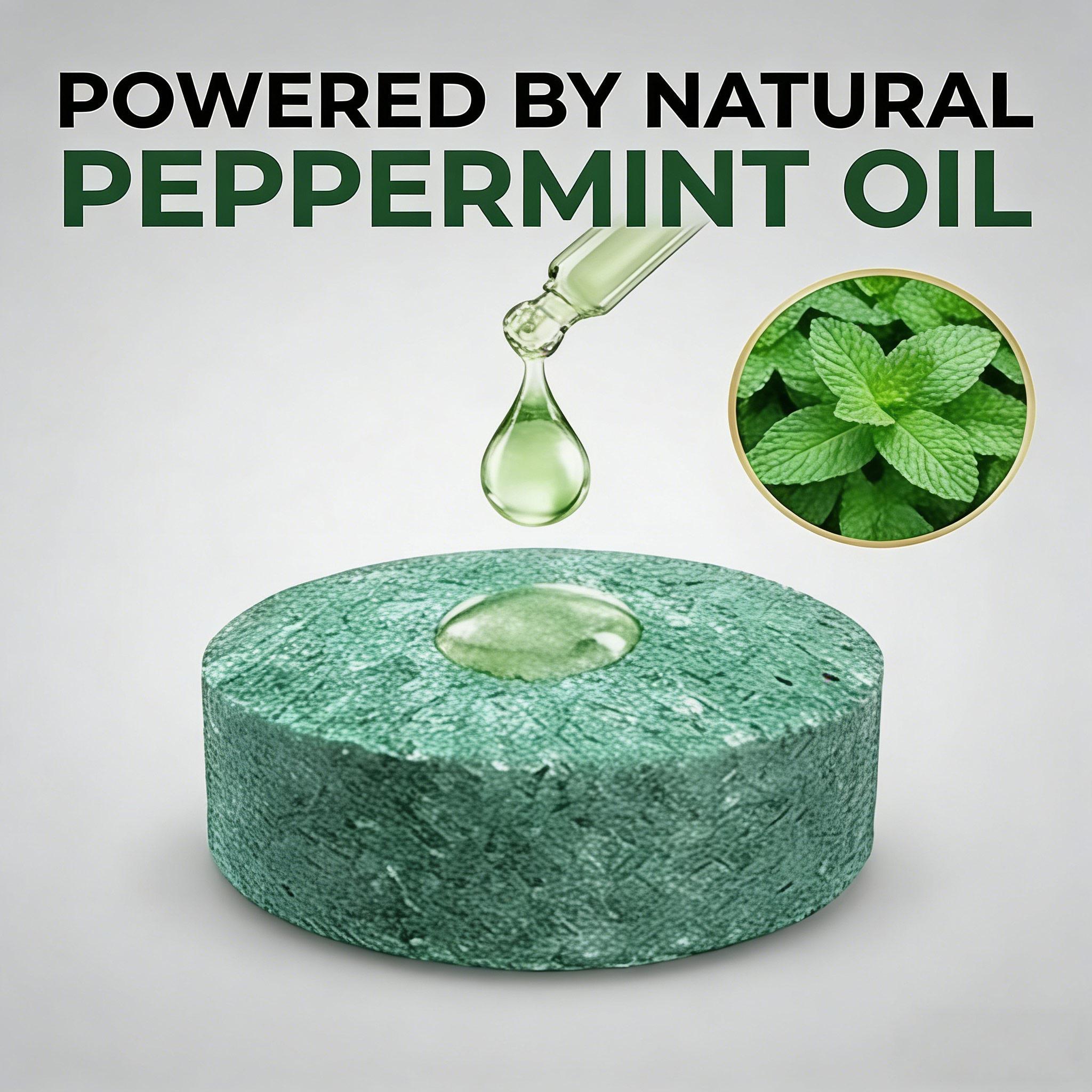 12 Pack Natural Fishing Gear Storage Protector, Helps Deter Bugs & Insects from Fishing Tackle, Boats & Garages, Outdoor Camping Storage Accessory, Safe for Indoor & Outdoor Use