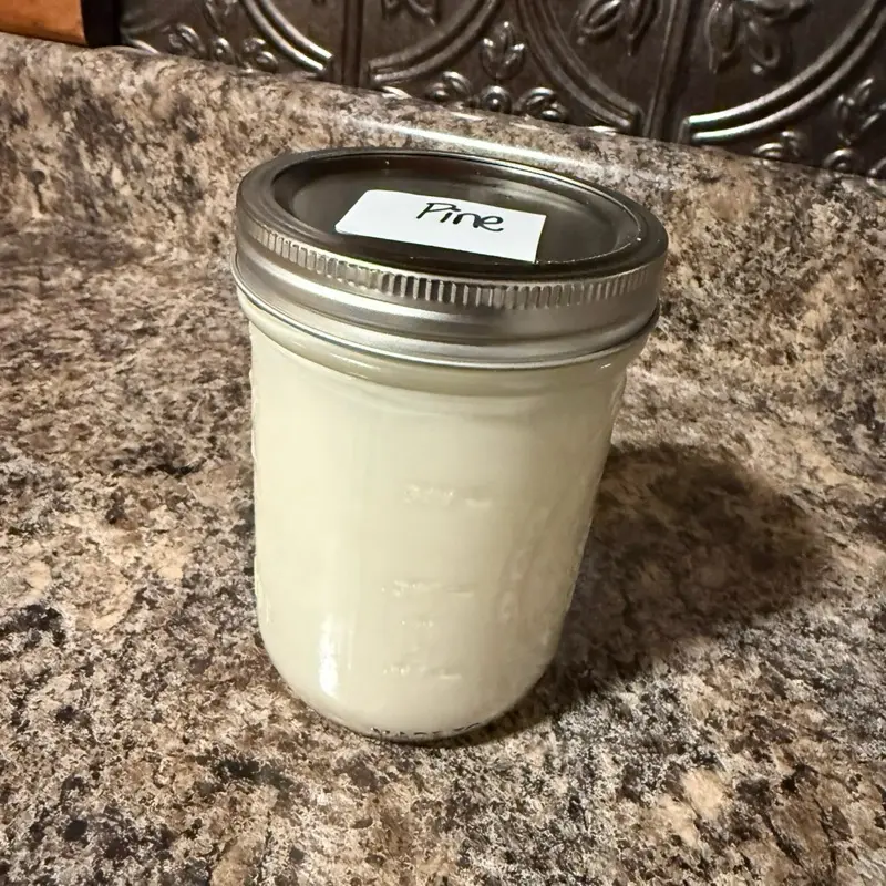 Pine 16oz Candle - Natural Scented Soy Wax for Home Decor and Aromatherapy