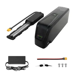 UAZ 48V 20Ah Ebike Battery with 3A Charger and BMS Protection Board for 200W to 1500W Electric Bike Motor Kit Lithium Battery Pack with Safe Lock LED Indicator and USB Port