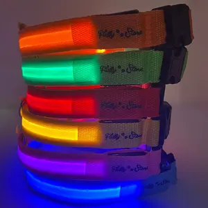 Dog Collar LED with Rechargeable Battery - Fluffy Paws Store