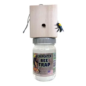 Billy Bob Carpenter Bee Trap Outdoor Wood