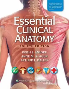 USED-Essential Clinical Anatomy, 4th Edition by Keith L. Moore (Paperback)
